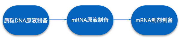 mRNAÒ©ÎïÉú²ú¹¤ÒÕ°ì·¨ mRNAÒ©ÎïÉú²ú¹¤ÒÕ°ì·¨